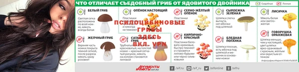 шишки Киреевск