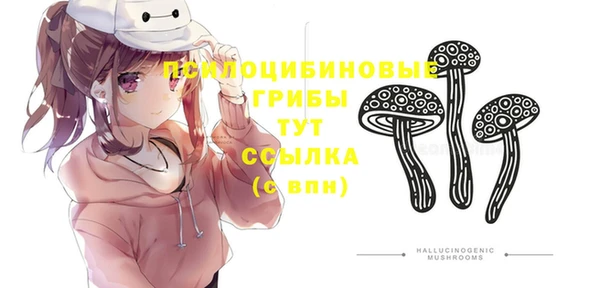 шишки Киреевск