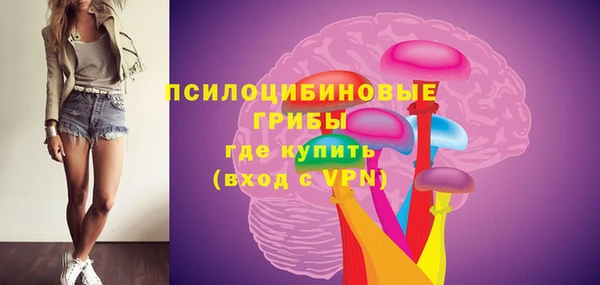 шишки Киреевск