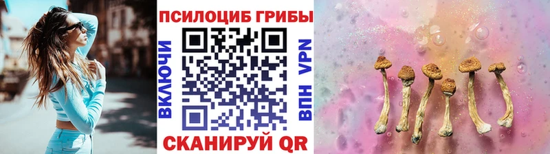Купить закладки  Покров  Галлюциногенные грибы прущие грибы 
